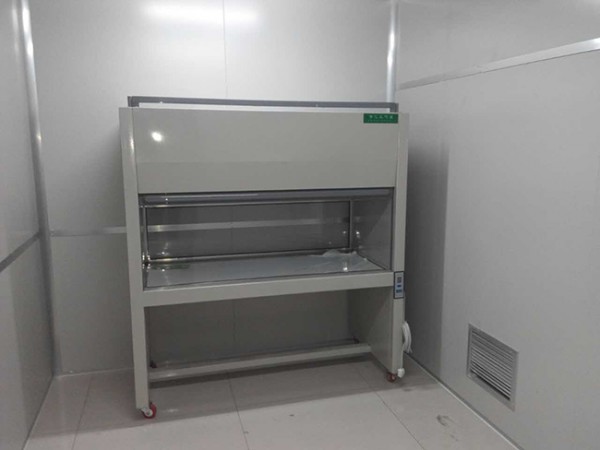 双人垂直超净工作台